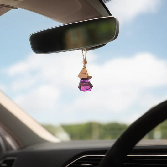 Alien Spirit car air freshener long lasting premium car perfume by carfume 