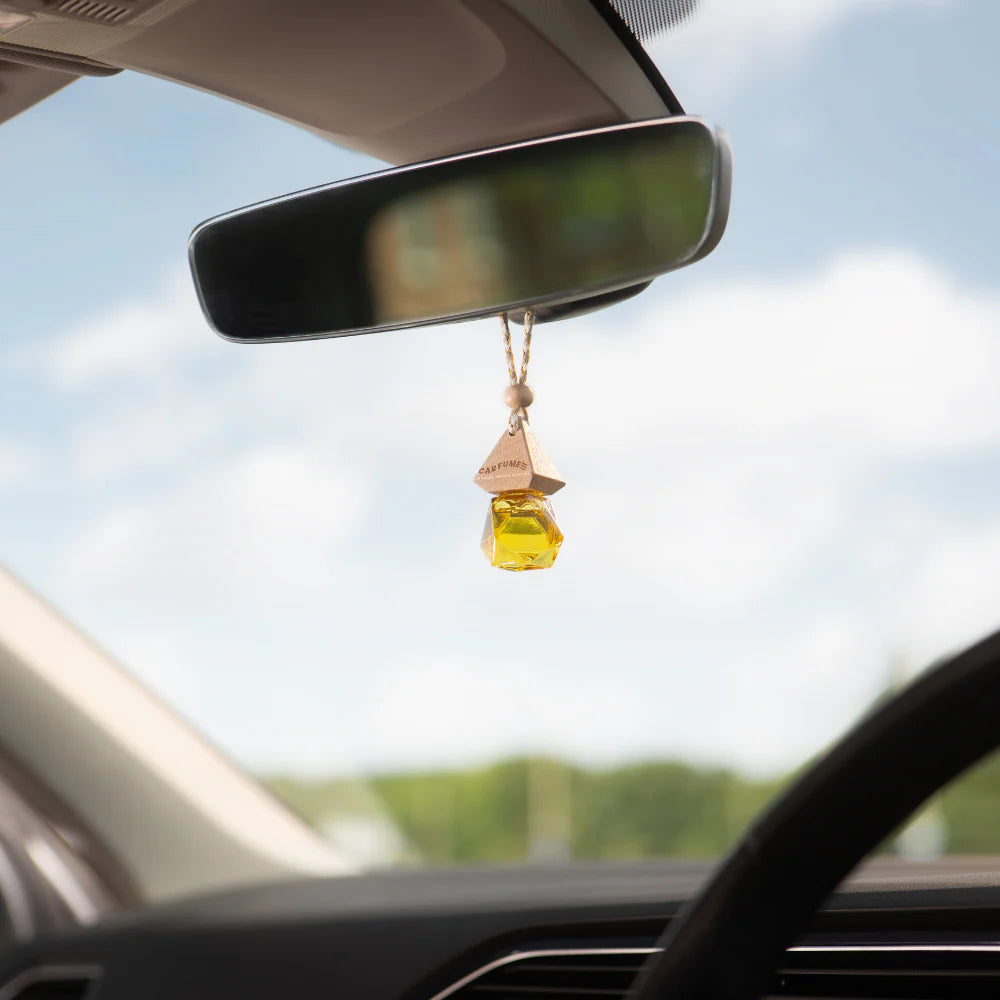 Lady Billion car air freshener long-lasting premium car perfume by carfume