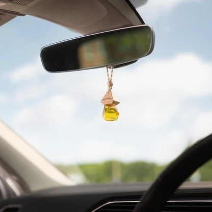 Lady Billion car air freshener long-lasting premium car perfume by carfume
